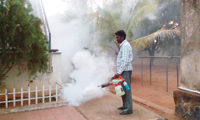 Insektizide gegen die Dengue-Fieber-Ausbreitung